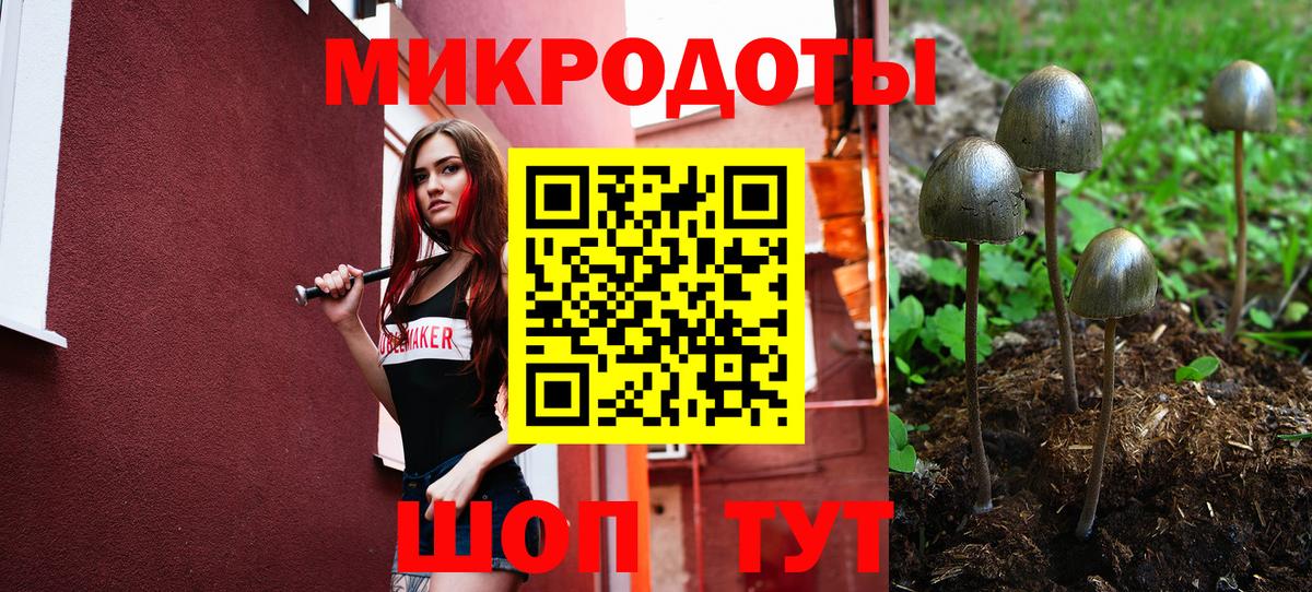 Орск  Галлюциногенные грибы Magic Shrooms  Вход с VPN 