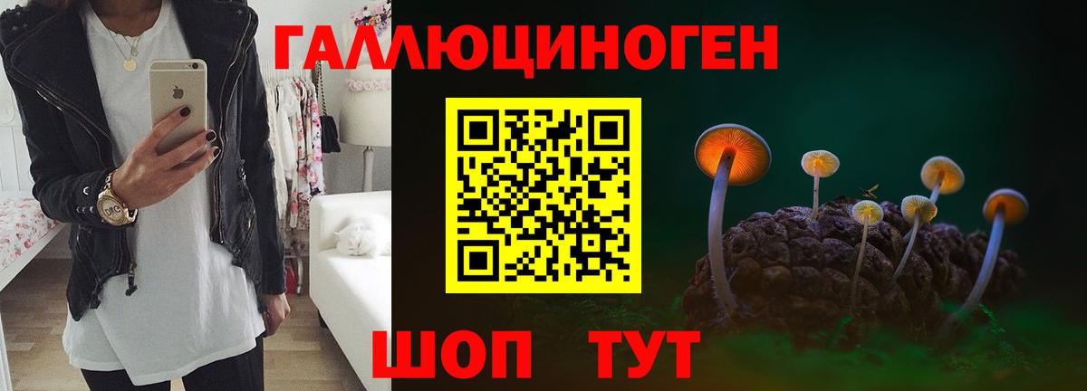Галлюциногенные грибы GOLDEN TEACHER Орск
